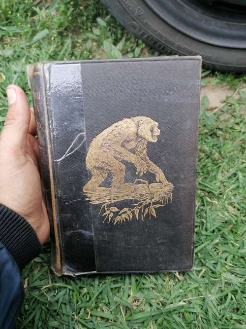 Equatorial Africa and country of the dwarfs by Du chaillu. 1892