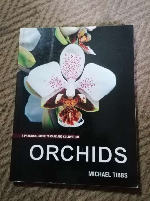 orchids by Michael tibbs
