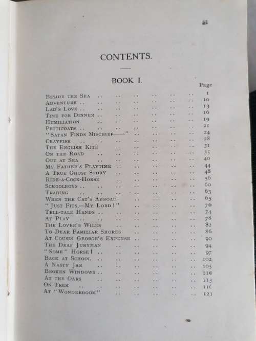 the diary of a south african by m.m steyn 1919