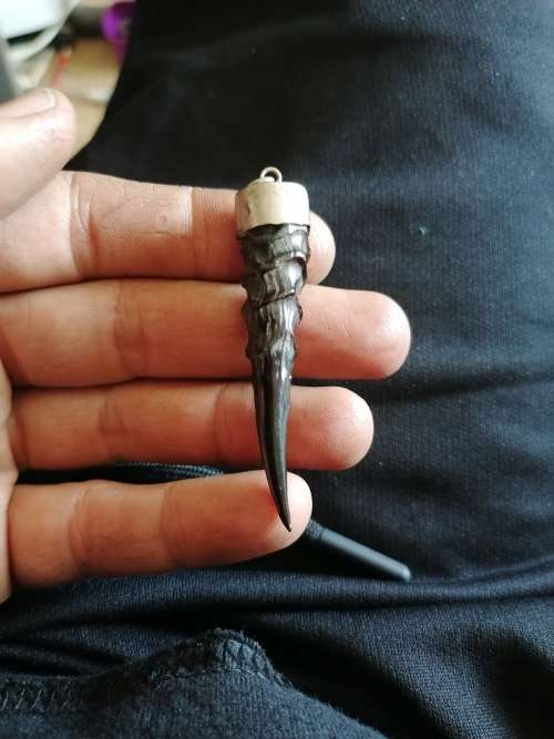 Vintage horn pendant with sterling silver