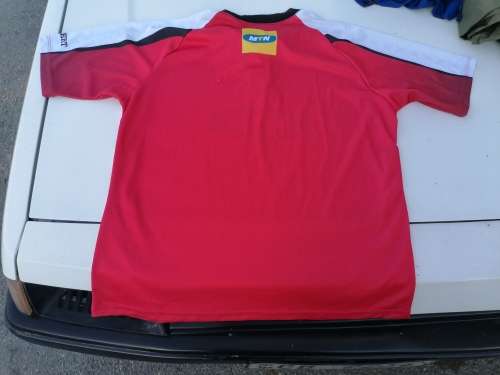 Lions rugby jersey