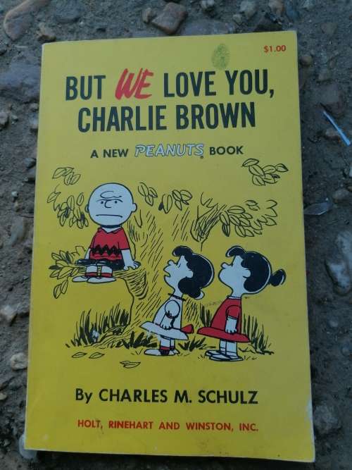 But we love you, Charlie Brown Book by Charles M. Schulz
