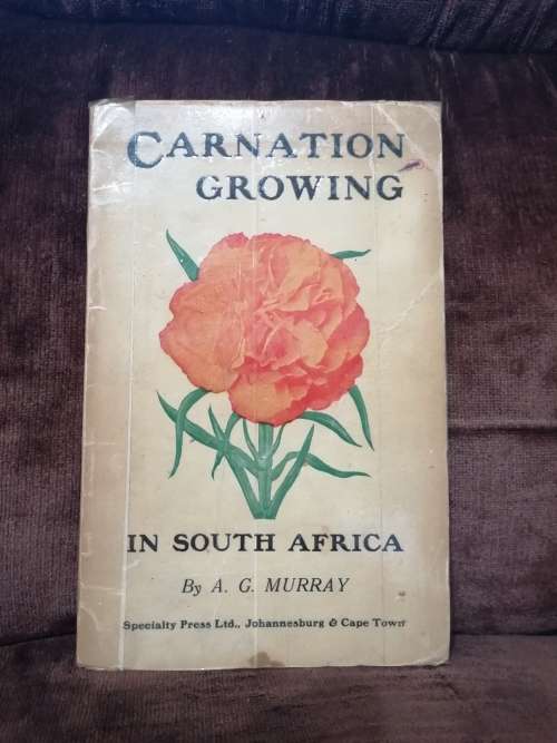 carnation growing in south africa by A.G Murray 1920