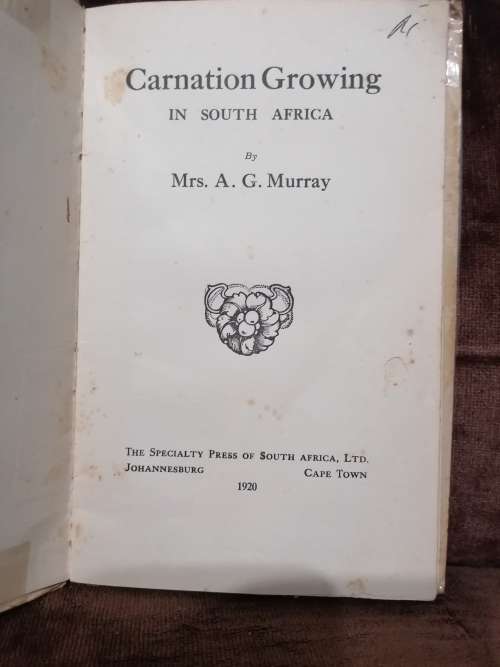 carnation growing in south africa by A.G Murray 1920