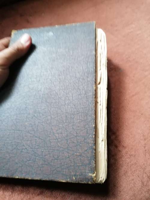 south african reminiscences by r.w murray 1894