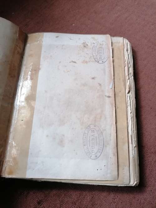 south african reminiscences by r.w murray 1894