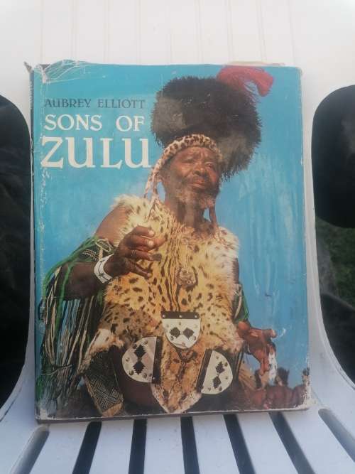 Sons of Zulu - Aubrey Elliott