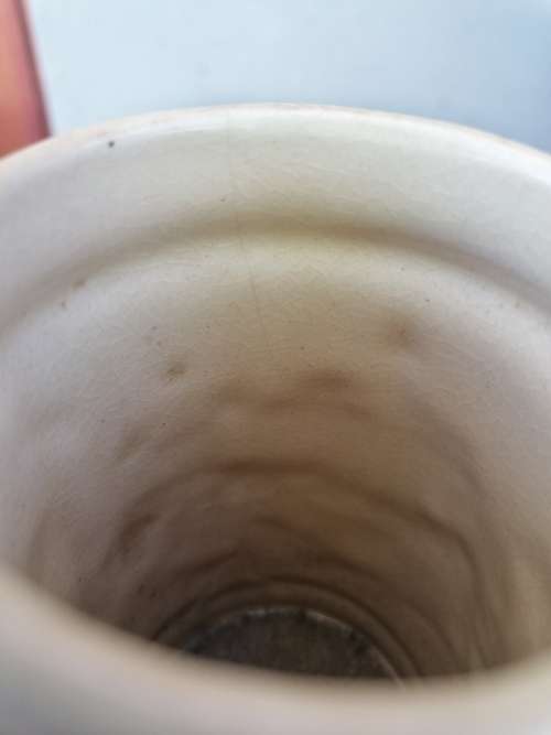 Vintage bear mug. Small hairline crack