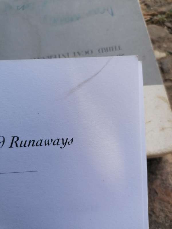 Rogues, Rebels and Runaways - Nigel Penn