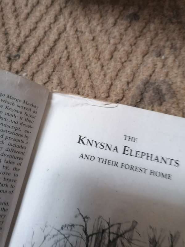 The Knysna Elephants and their Forest Home