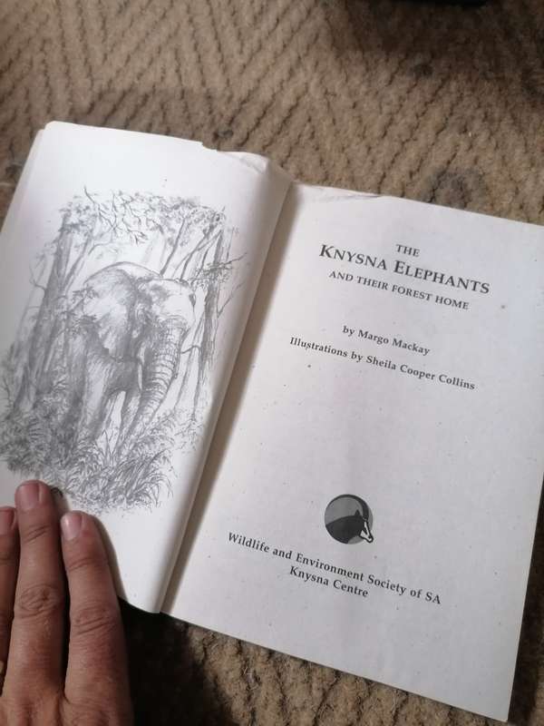 The Knysna Elephants and their Forest Home