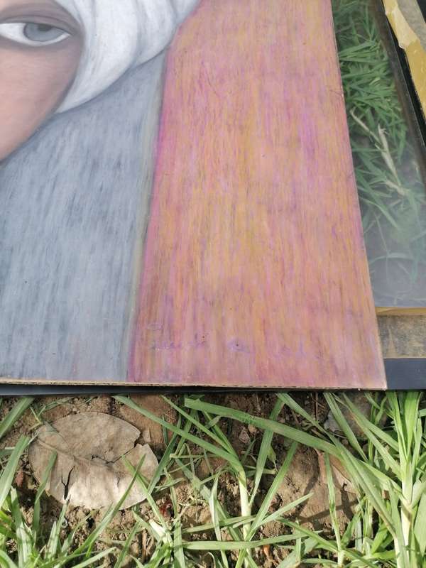 Christa de Kock pastel