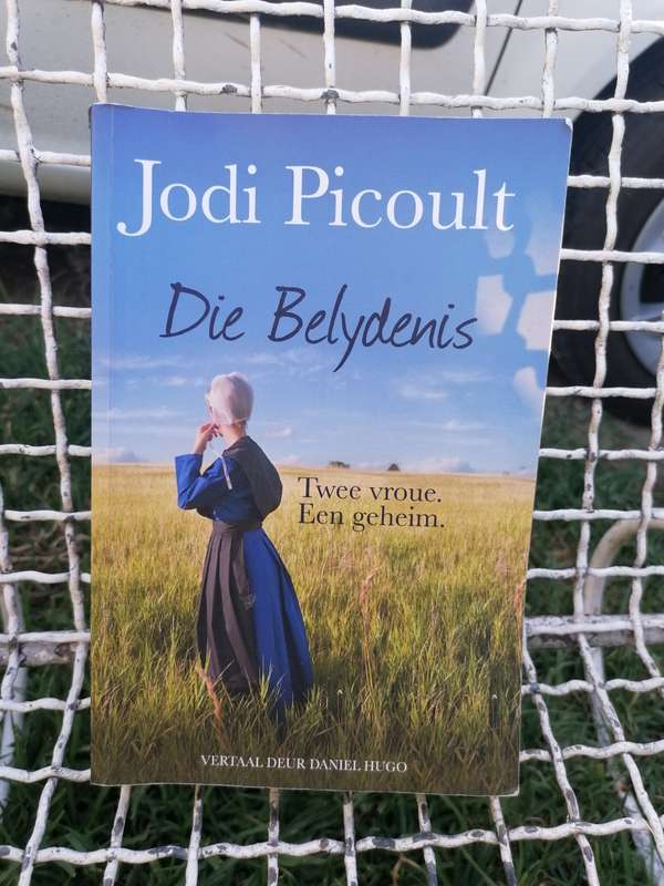 Die belydenis deur Jodi picoult