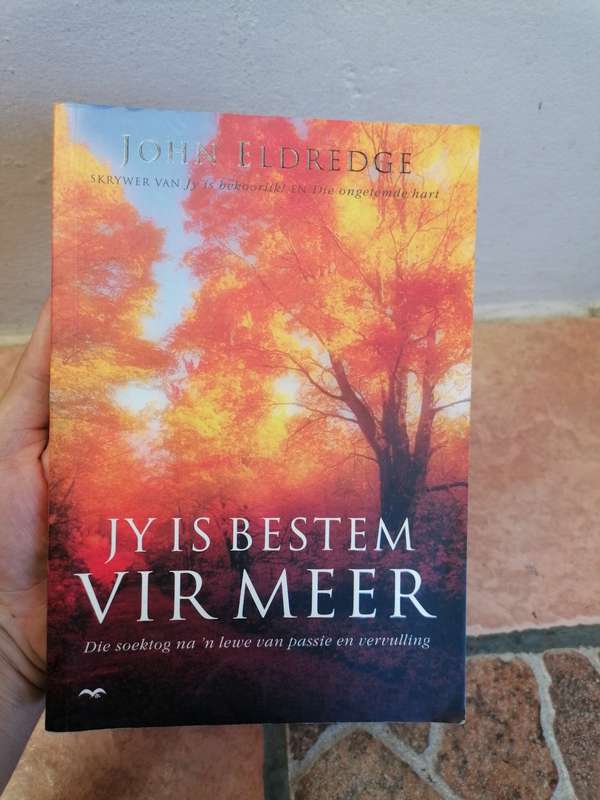 Jy is bestem vir meer deur John Eldredge
