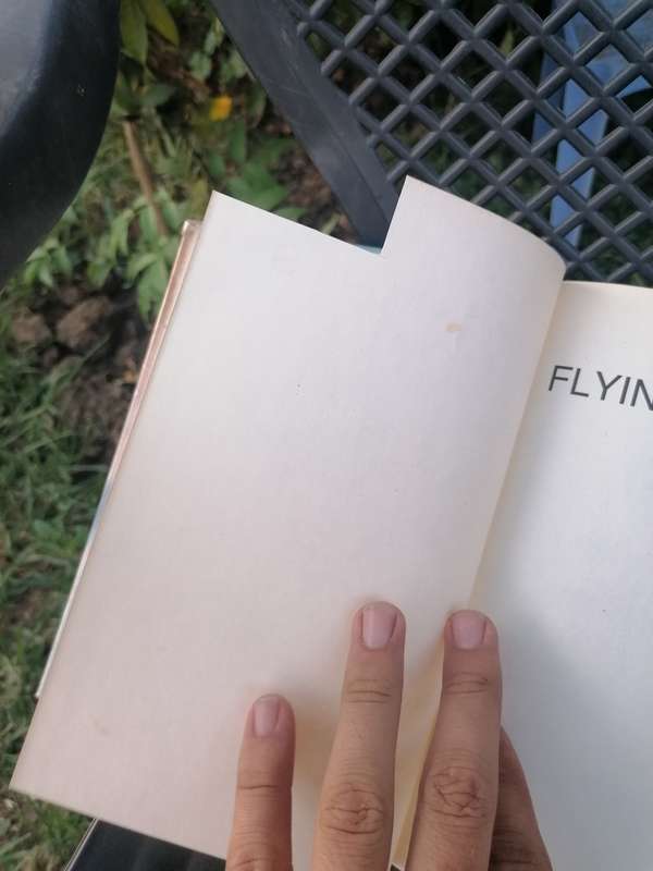 Flying stories