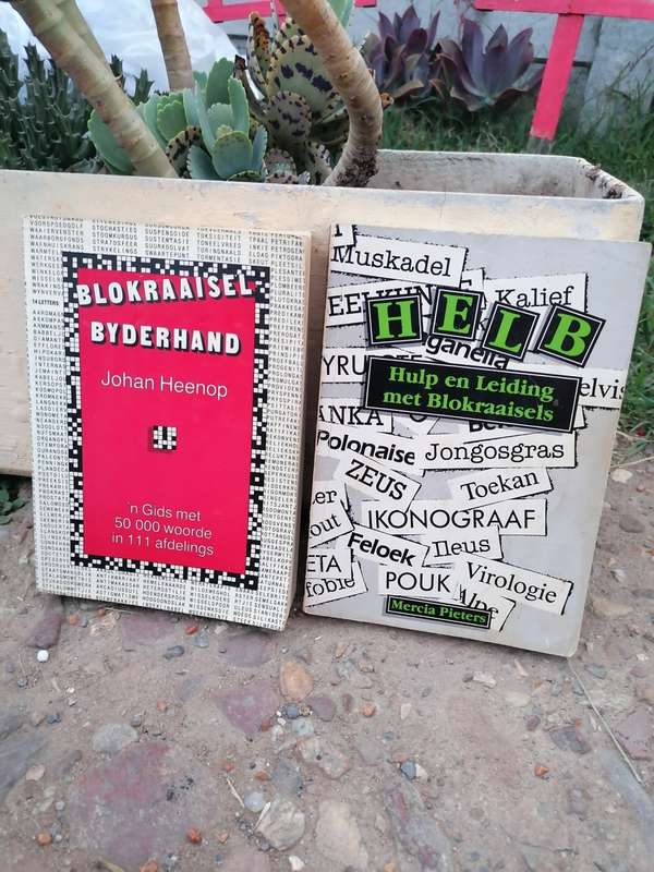 Blokraaisel boeke