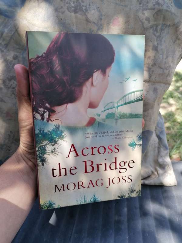 Across The Bridge Morag Joss