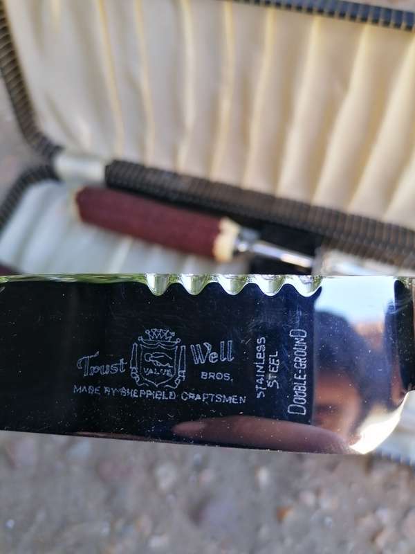 Vintage Cased Trustwell Brothers Stag Horn handle Carving Set in excellent condition