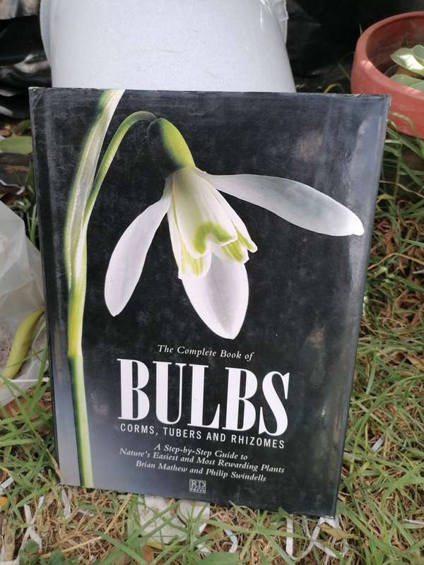 THE COMPLETE BOOK of BULBS CORMS TUBERS and RHIZOMES BRIAN MATHEW PHILIP SWINDELLS