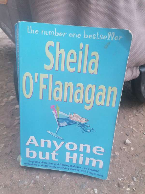 Anyone But Him: Sheila O`Flanagan (Paperback)