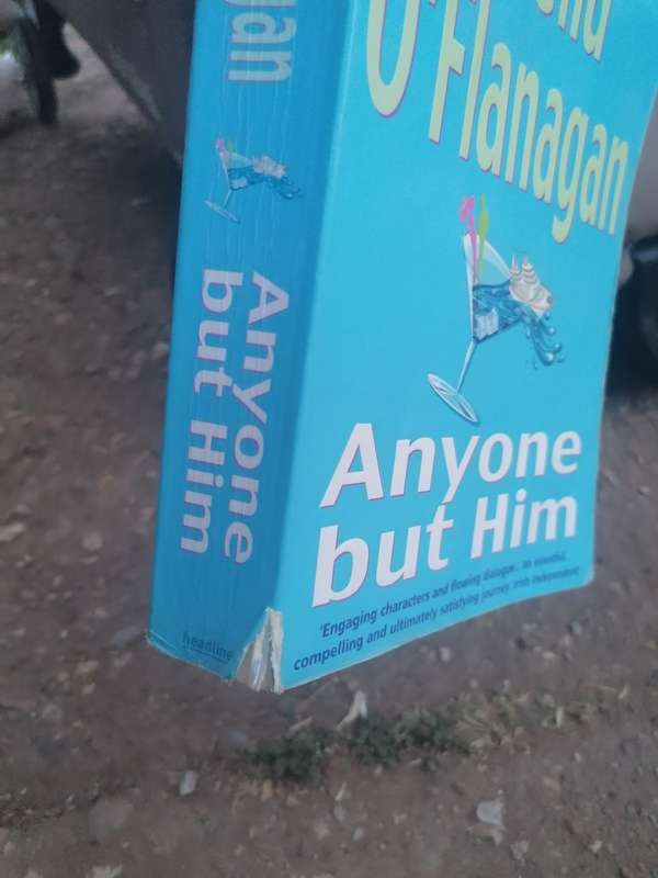 Anyone But Him: Sheila O`Flanagan (Paperback)