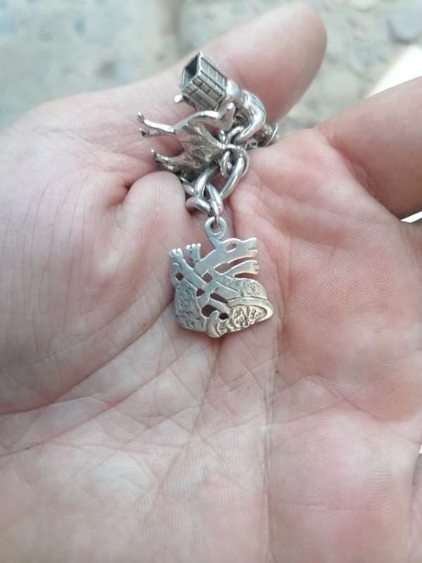 Wow stunning silver charms bracelet with 23 silver charms