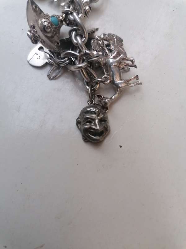 Wow stunning silver charms bracelet with 23 silver charms