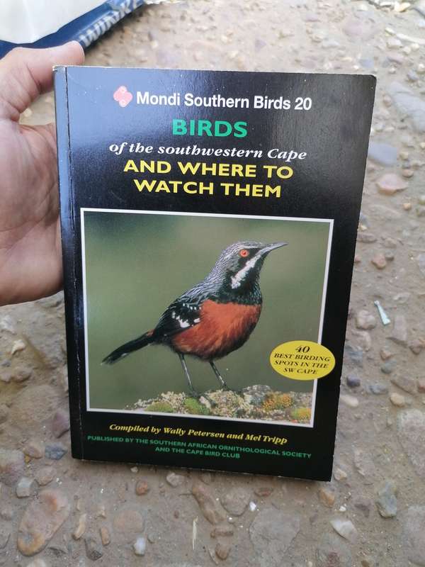 Mondi southern birds 20.birds of southwestern cspe