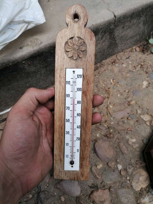 Antique carved wood thermometer. Sadly the glass broke after picture taken
