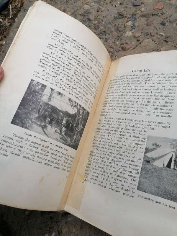 Call of the bushveld by A. C white