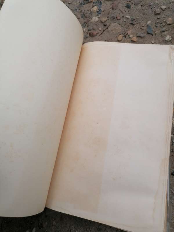 Call of the bushveld by A. C white