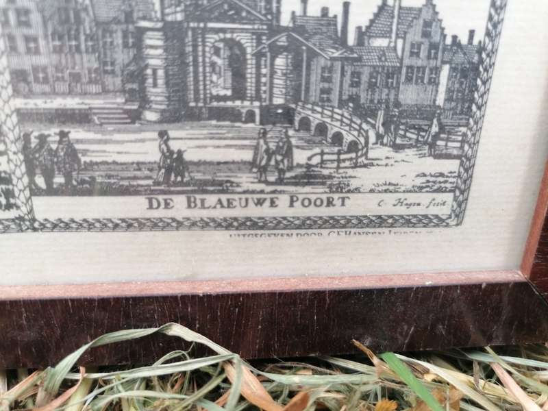 Old Christiaan Hagen framed map