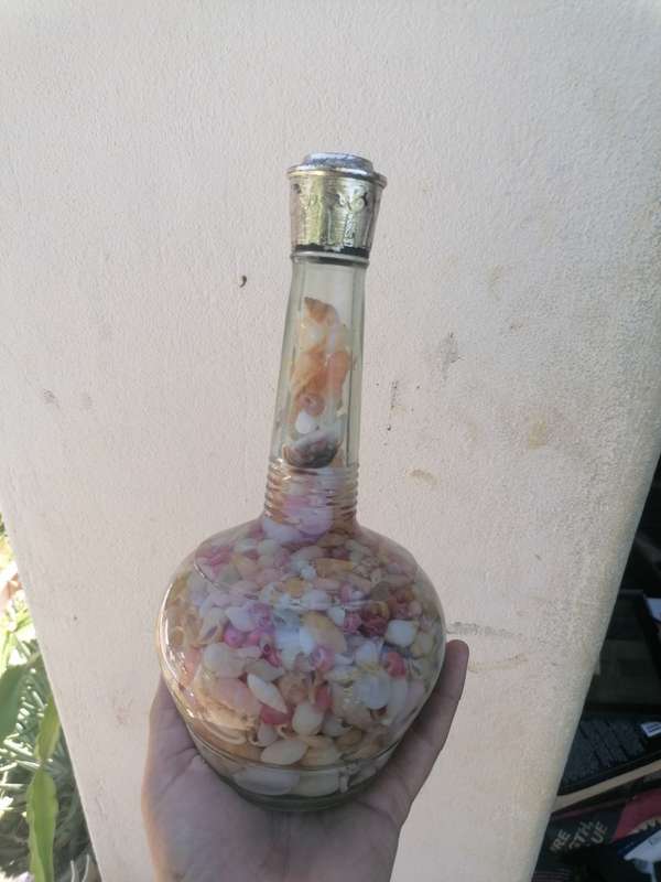 Bottle with shells.
