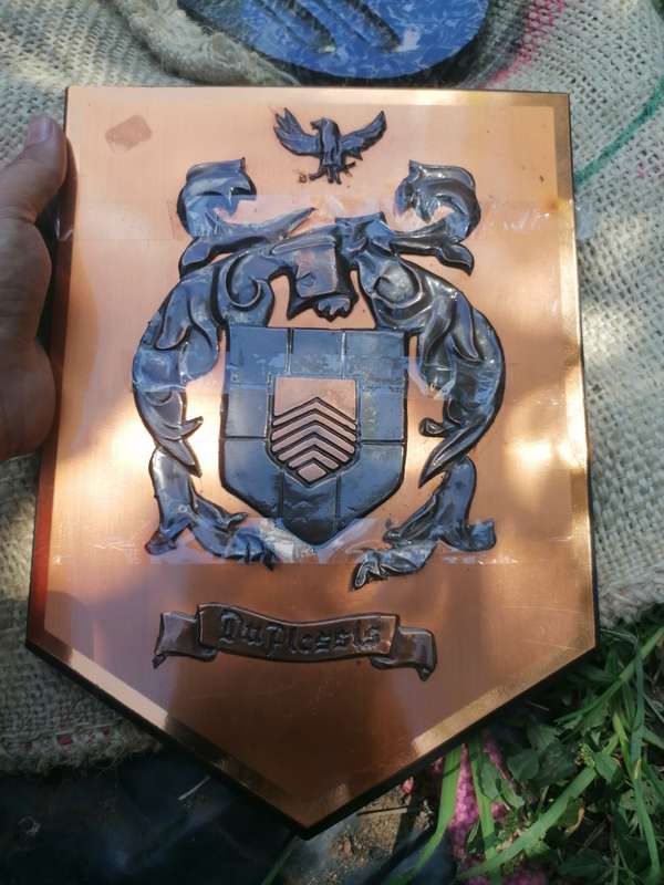 Copper du Plessis Familie crest as per picture