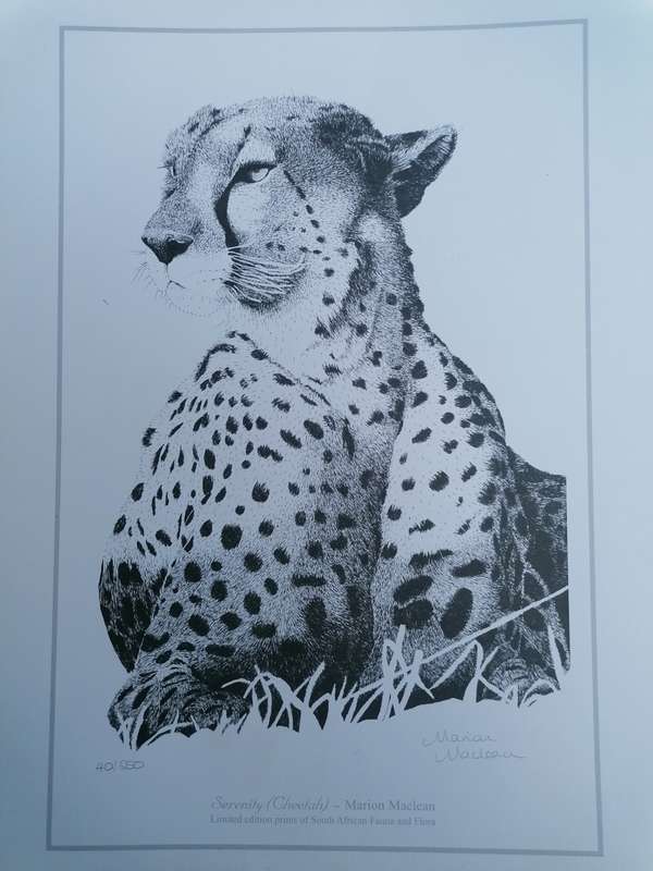 marion maclean signed print of fauna and flora 42cm x 32cm