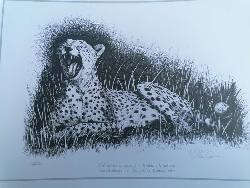 marion maclean signed limited edition print of fauna and flora 42cm x 32cm