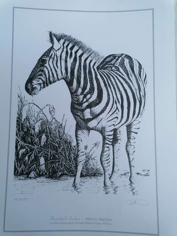 marion maclean signed limited edition print of fauna and flora 42cm x 32cm