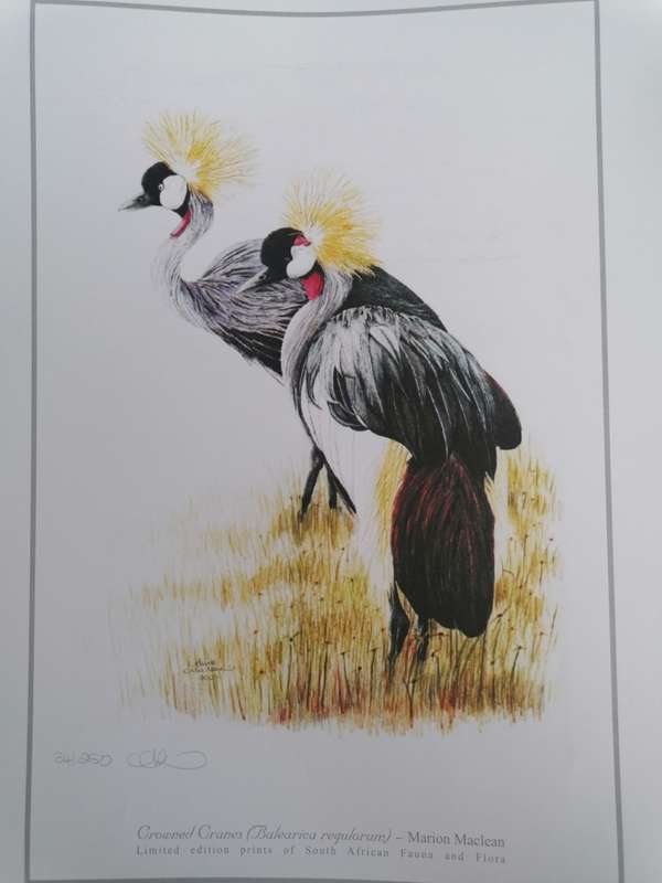 marion maclean signed limited edition print of fauna and flora 42cm x 32cm