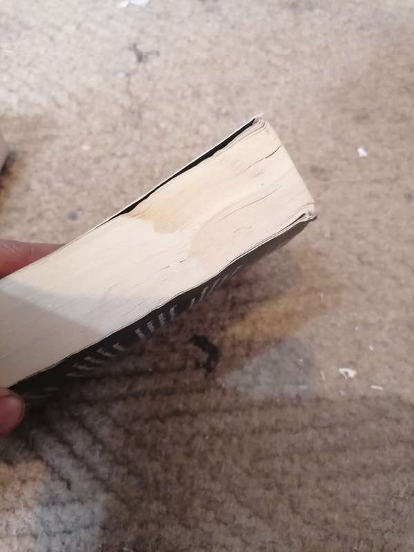 The executor by jess Kellerman. Condition as per picture