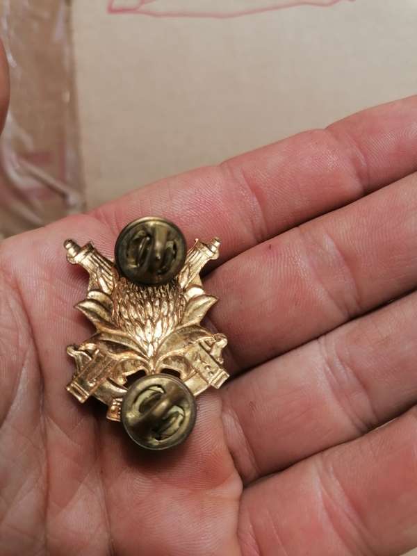 Regiment Langenhoven Gilding Metal collar set