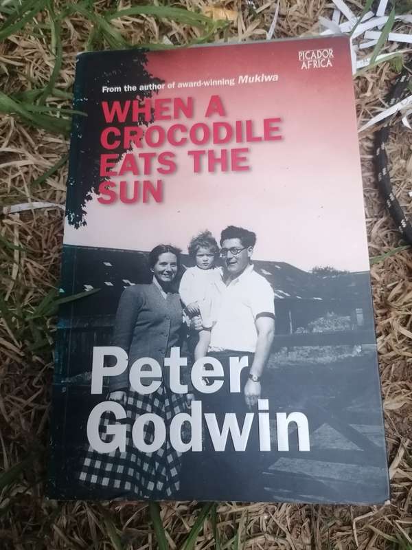 WHEN A CROCODILE EATS THE SUN - PETER GODWIN