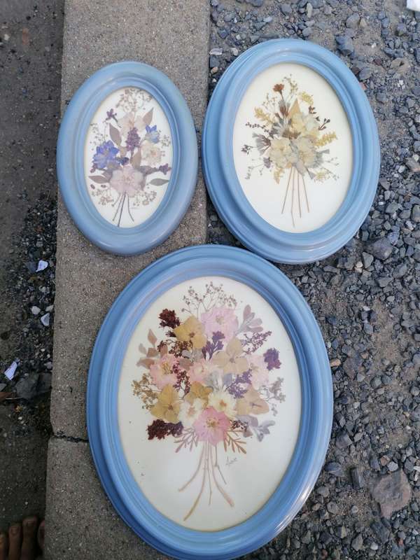 Vintage set of dried flowers art