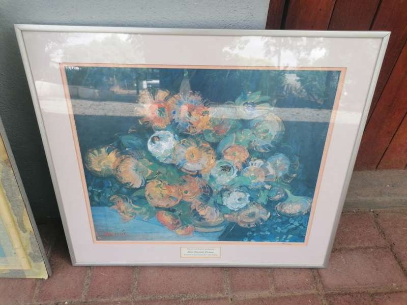 Alice Tennant, Proteas sanlam print