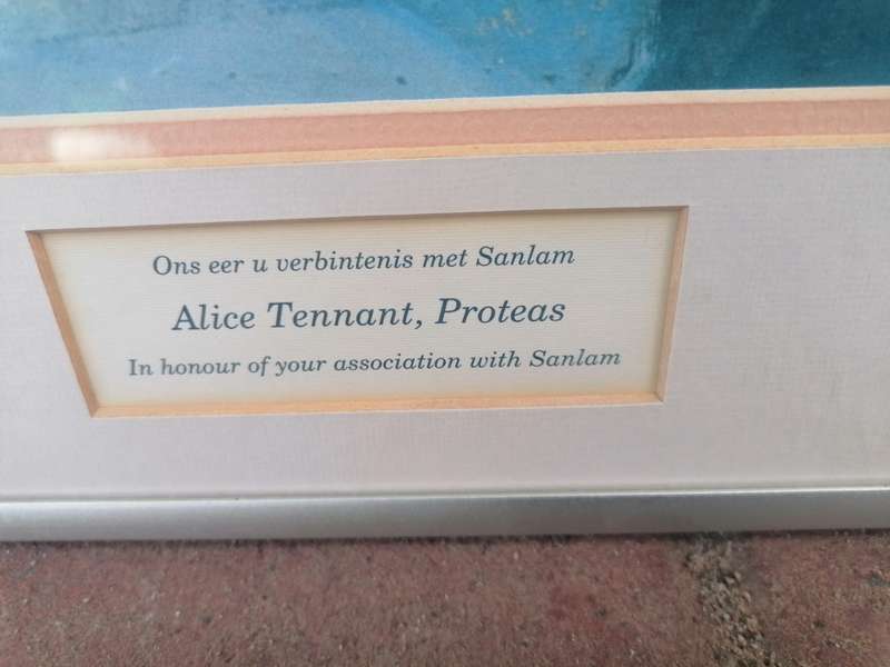 Alice Tennant, Proteas sanlam print