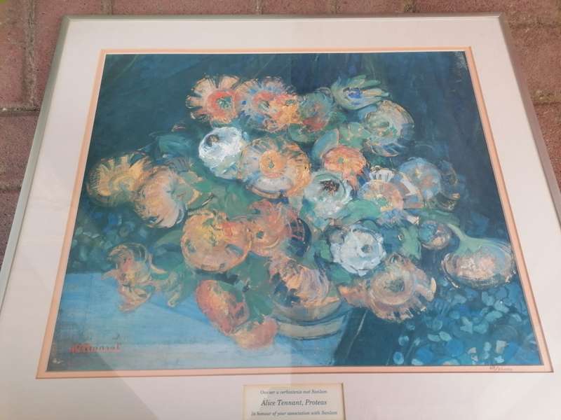 Alice Tennant, Proteas sanlam print
