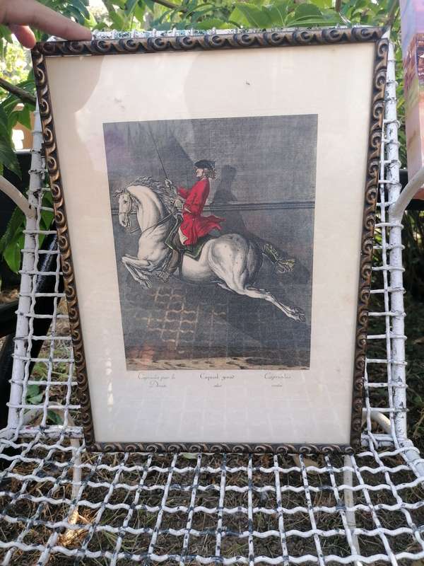 Hand Colored Equestrian Engraving After Ridinger By Edizioni Ponte Vecchio