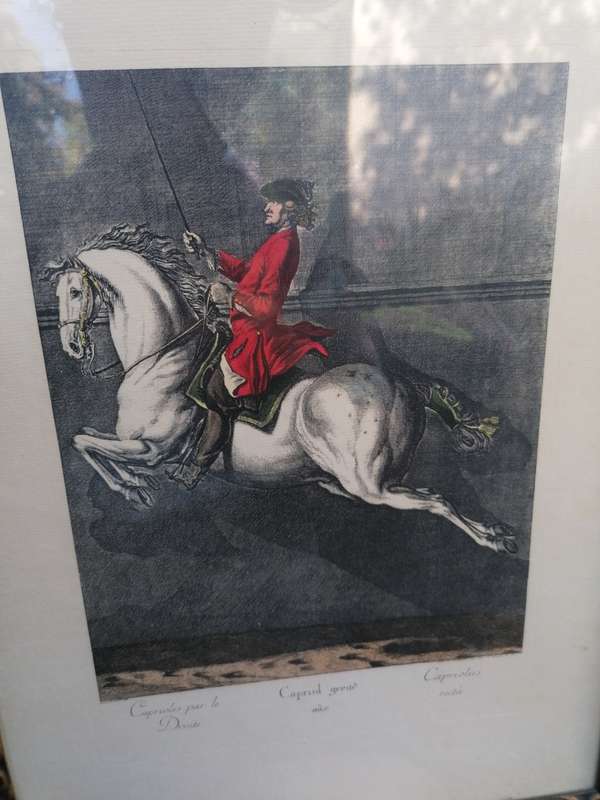Hand Colored Equestrian Engraving After Ridinger By Edizioni Ponte Vecchio