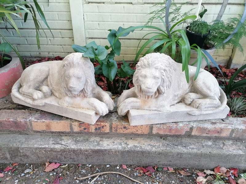Lovely set of 2 vintage lion garden decor. Very heavy. Strictly self collection in Robertson western