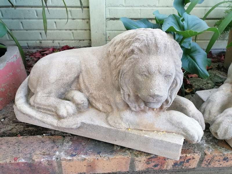 Lovely set of 2 vintage lion garden decor. Very heavy. Strictly self collection in Robertson western