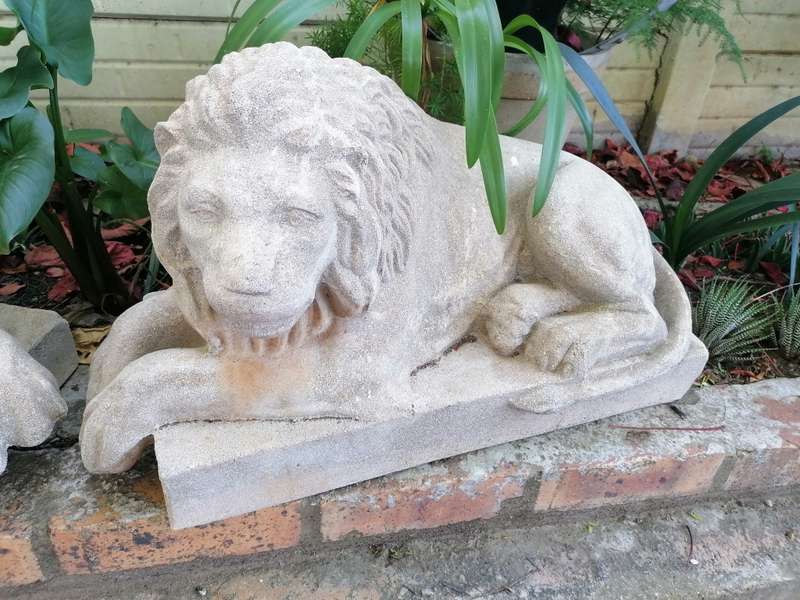Lovely set of 2 vintage lion garden decor. Very heavy. Strictly self collection in Robertson western